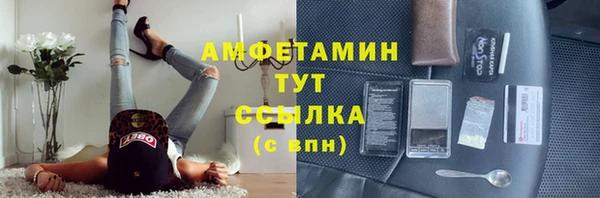 гашик Белокуриха