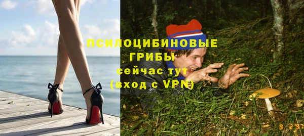 гашик Белокуриха