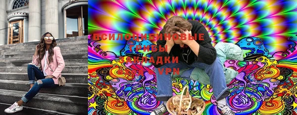 бошки Богородск
