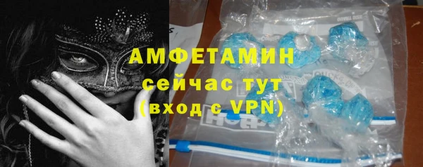 гашик Белокуриха