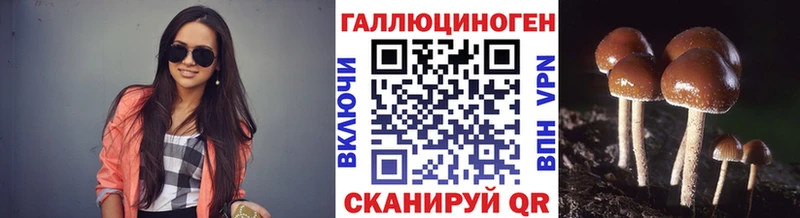 Псилоцибиновые грибы GOLDEN TEACHER  Пестово 